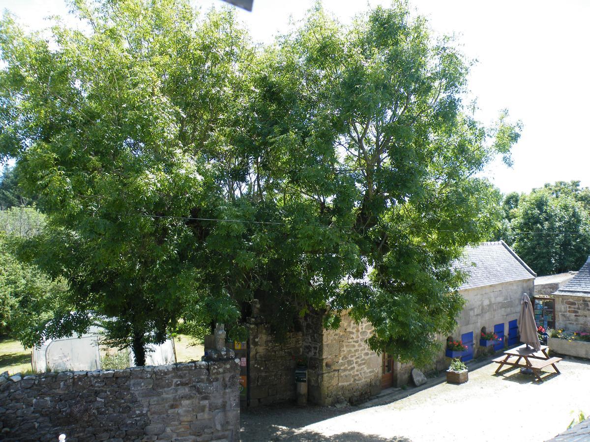 La Ferme Du Bout Du Monde Bed and Breakfast Plogoff Εξωτερικό φωτογραφία